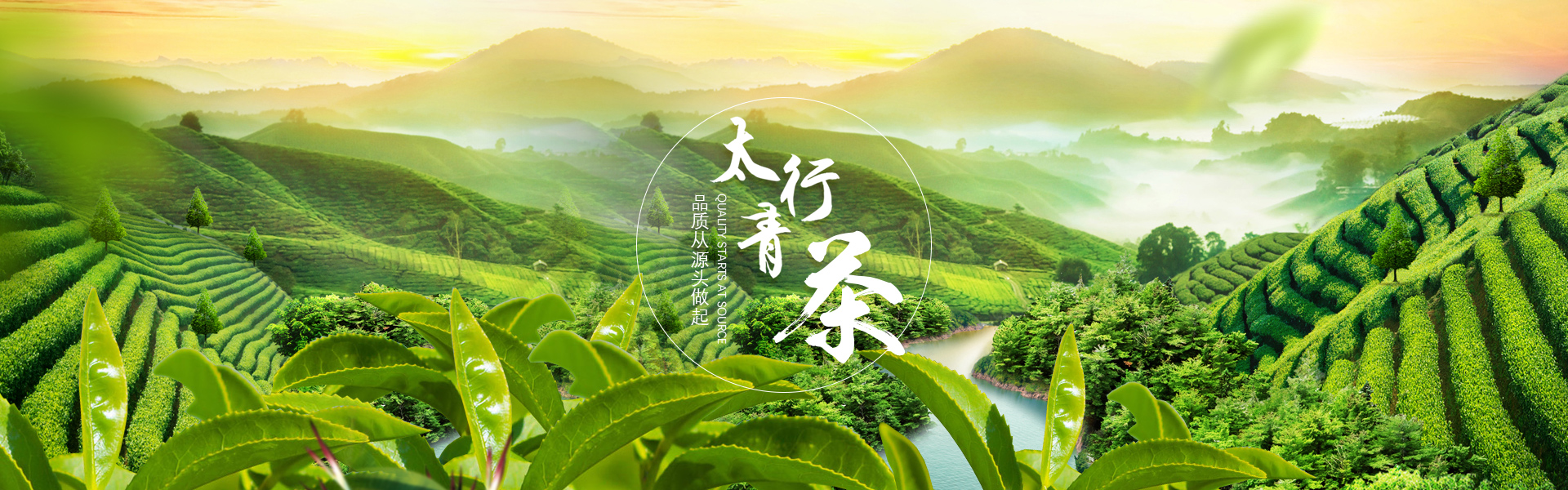 使用無(wú)線(xiàn)聯(lián)網(wǎng)門(mén)鎖的學(xué)生數(shù)量